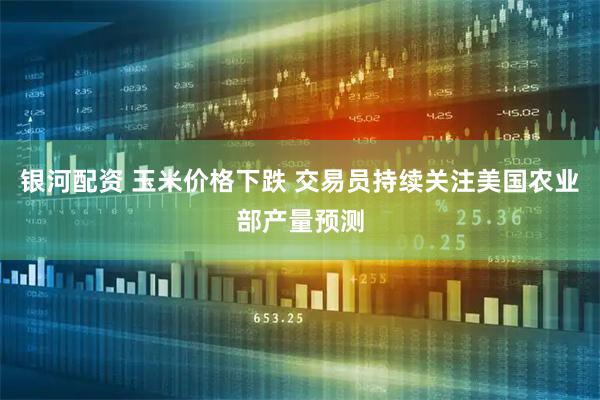 银河配资 玉米价格下跌 交易员持续关注美国农业部产量预测