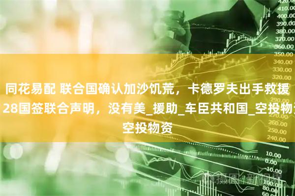 同花易配 联合国确认加沙饥荒，卡德罗夫出手救援！28国签联合声明，没有美_援助_车臣共和国_空投物资