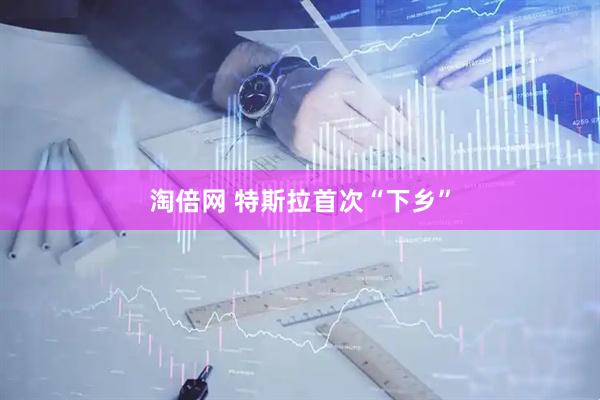 淘倍网 特斯拉首次“下乡”