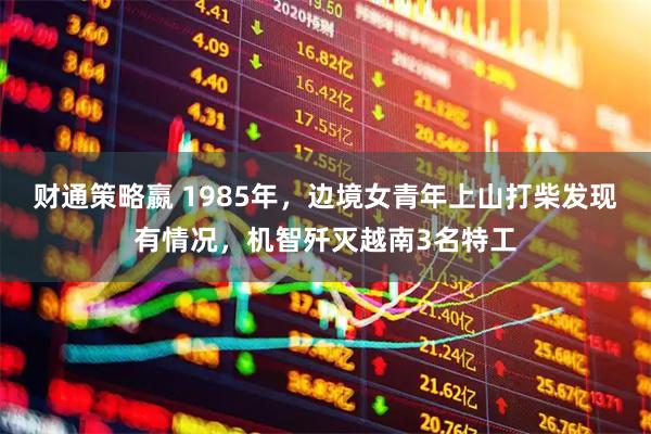 财通策略嬴 1985年，边境女青年上山打柴发现有情况，机智歼灭越南3名特工