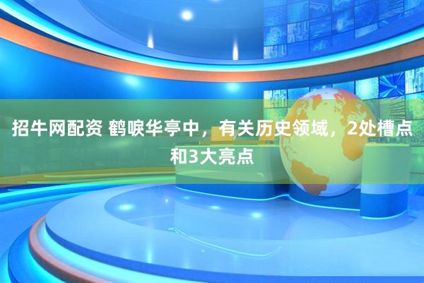 招牛网配资 鹤唳华亭中，有关历史领域，2处槽点和3大亮点