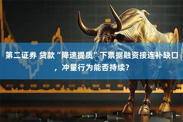 第二证券 贷款“降速提质”下票据融资接连补缺口，冲量行为能否持续？